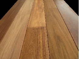 ミモザラスティック